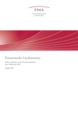 Finanzmarkt Liechtenstein 2013
